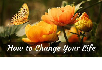 ss_How_to_Change_Your_Life_350x240